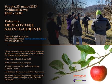 Delavnica: Obrezovanje sadnega drevja