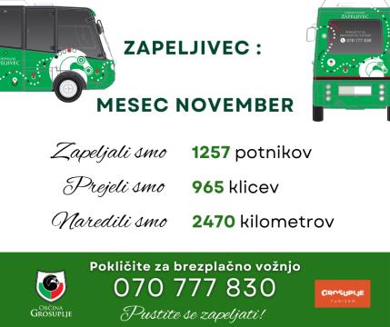 Zapeljivec_poročilo_november