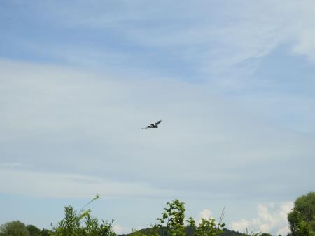 DSCN6045