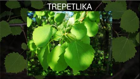 TREPETLIKA