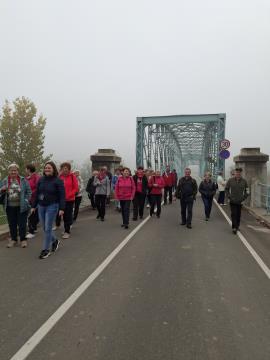 Ogled starega kovinskega mostu v Brežicah 