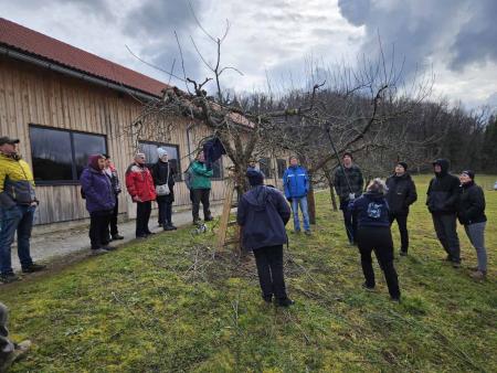 Slika 5: Prikaz obrezovanja sadnega drevja (Foto: Uroš Perme)