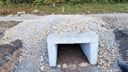 Vgrajen podhod za dvoživke