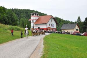 b_800_600_0_00_images_stories_Novice_2017_SLOVESNOST_OB_OBCINSKEM_IN_DRZAVNEM_PRAZNIKU_DNEVU_DRZAVNOSTI_2