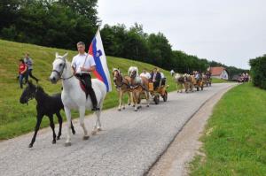 b_800_600_0_00_images_stories_Novice_2017_SLOVESNOST_OB_OBCINSKEM_IN_DRZAVNEM_PRAZNIKU_DNEVU_DRZAVNOSTI_3