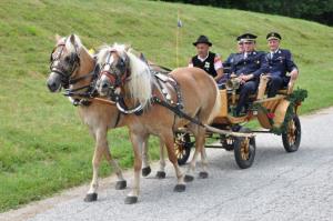 b_800_600_0_00_images_stories_Novice_2017_SLOVESNOST_OB_OBCINSKEM_IN_DRZAVNEM_PRAZNIKU_DNEVU_DRZAVNOSTI_8