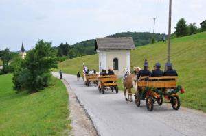 b_800_600_0_00_images_stories_Novice_2017_SLOVESNOST_OB_OBCINSKEM_IN_DRZAVNEM_PRAZNIKU_DNEVU_DRZAVNOSTI_9