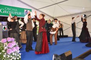 b_800_600_0_00_images_stories_Novice_2017_SLOVESNOST_OB_OBCINSKEM_IN_DRZAVNEM_PRAZNIKU_DNEVU_DRZAVNOSTI_9zzn