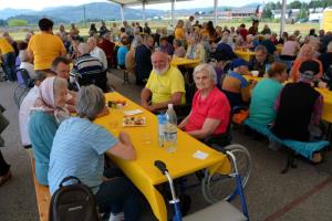 b_800_600_0_00_images_stories_Novice_2017_Srecanje_stanovalcev_domov_Dolenjske_regije_3