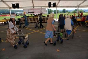 b_800_600_0_00_images_stories_Novice_2017_Srecanje_stanovalcev_domov_Dolenjske_regije_9d