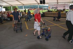 b_800_600_0_00_images_stories_Novice_2017_Srecanje_stanovalcev_domov_Dolenjske_regije_9e