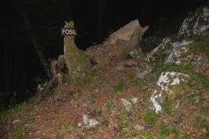 b_800_600_0_00_images_stories_Novice_2017_Zupanova_jama_gostila_del_otvoritve_mednarodnega_bienala_oblikovanja_BIO_25_9p