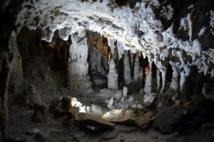 b_800_600_0_00_images_stories_Novice_2017_Zupanova_jama_gostila_del_otvoritve_mednarodnega_bienala_oblikovanja_BIO_25_9v