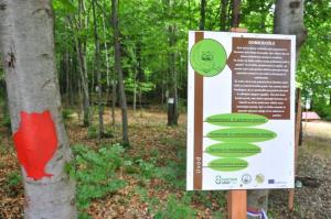 b_800_600_0_00_images_stories_Novice_2017_Otvoritev_Gozdne_ucne_poti_na_Koscakovem_hribu_9b