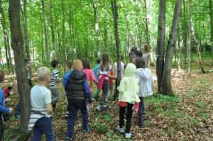 b_800_600_0_00_images_stories_Novice_2017_Otvoritev_Gozdne_ucne_poti_na_Koscakovem_hribu_9n