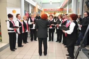 b_800_600_0_00_images_stories_Novice_2017_Zlati_koticek_v_Mercator_centru_Grosuplje_5