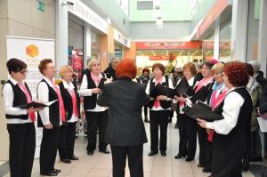 b_800_600_0_00_images_stories_Novice_2017_Zlati_koticek_v_Mercator_centru_Grosuplje_9b