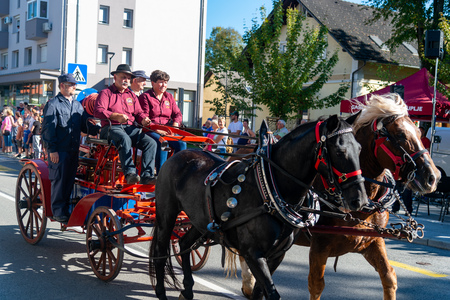 grosuplje-v-jeseni-2025-0235