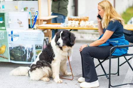 grosuplje-v-jeseni-2025-0044