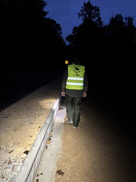3 Pregled podhodov in ograje 