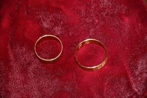 b_800_600_0_00_images_stories_Novice_2016_Zlata_poroka_zenina_Marjana_Praznikarja_in_neveste_Jozefe_Praznikar_9