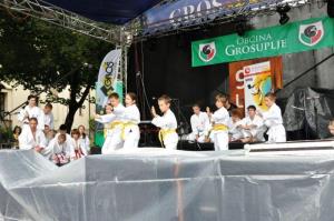 b_800_600_0_00_images_stories_Novice_2016_Grosuplje_v_jeseni_9s