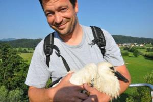 b_800_600_0_00_images_stories_Novice_2016_Storkljico_v_Ponovi_vasi_smo_opremili_z_GPS_sledilno_napravo_7