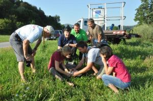 b_800_600_0_00_images_stories_Novice_2016_Storkljico_v_Ponovi_vasi_smo_opremili_z_GPS_sledilno_napravo_9a