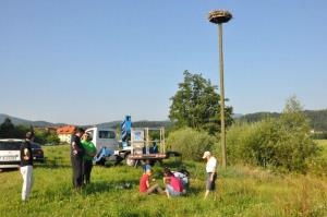 b_800_600_0_00_images_stories_Novice_2016_Storkljico_v_Ponovi_vasi_smo_opremili_z_GPS_sledilno_napravo_9d