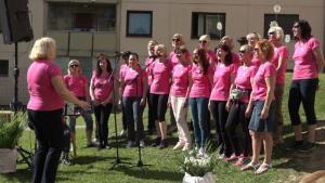 b_800_600_0_00_images_stories_Novice_2016_VVZ_Kekec_Grosuplje_praznuje_9b