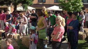 b_800_600_0_00_images_stories_Novice_2016_VVZ_Kekec_Grosuplje_praznuje_9c