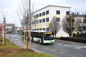 b_800_600_0_00_images_stories_Novice_2015_V_okolju_prijazni_obcini_Grosuplje_zasajenih_90_novih_dreves_6