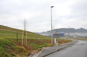 b_800_600_0_00_images_stories_Novice_2015_V_okolju_prijazni_obcini_Grosuplje_zasajenih_90_novih_dreves_9