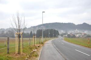 b_800_600_0_00_images_stories_Novice_2015_V_okolju_prijazni_obcini_Grosuplje_zasajenih_90_novih_dreves_9b