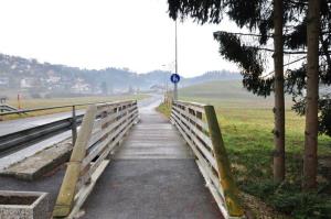 b_800_600_0_00_images_stories_Novice_2015_V_okolju_prijazni_obcini_Grosuplje_zasajenih_90_novih_dreves_9c