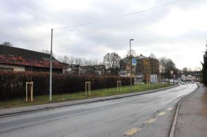 b_800_600_0_00_images_stories_Novice_2015_V_okolju_prijazni_obcini_Grosuplje_zasajenih_90_novih_dreves_9h