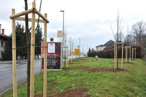 b_800_600_0_00_images_stories_Novice_2015_V_okolju_prijazni_obcini_Grosuplje_zasajenih_90_novih_dreves_9i