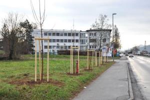 b_800_600_0_00_images_stories_Novice_2015_V_okolju_prijazni_obcini_Grosuplje_zasajenih_90_novih_dreves_9j