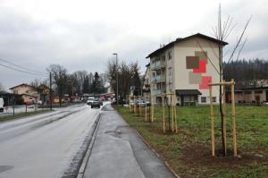 b_800_600_0_00_images_stories_Novice_2015_V_okolju_prijazni_obcini_Grosuplje_zasajenih_90_novih_dreves_9k