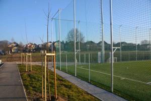 b_800_600_0_00_images_stories_Novice_2015_V_okolju_prijazni_obcini_Grosuplje_zasajenih_90_novih_dreves_9l