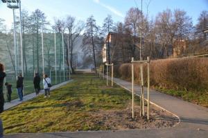 b_800_600_0_00_images_stories_Novice_2015_V_okolju_prijazni_obcini_Grosuplje_zasajenih_90_novih_dreves_9n