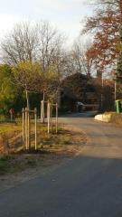 b_800_600_0_00_images_stories_Novice_2015_V_okolju_prijazni_obcini_Grosuplje_zasajenih_90_novih_dreves_9r