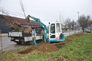 b_800_600_0_00_images_stories_Novice_2015_Podjetje_Avtotransporti_Kastelec_je_obcankam_in_obcanom_Grosuplja_podarilo_sadike_dreves_3