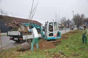 b_800_600_0_00_images_stories_Novice_2015_Podjetje_Avtotransporti_Kastelec_je_obcankam_in_obcanom_Grosuplja_podarilo_sadike_dreves_4