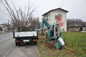 b_800_600_0_00_images_stories_Novice_2015_Podjetje_Avtotransporti_Kastelec_je_obcankam_in_obcanom_Grosuplja_podarilo_sadike_dreves_5
