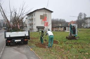b_800_600_0_00_images_stories_Novice_2015_Podjetje_Avtotransporti_Kastelec_je_obcankam_in_obcanom_Grosuplja_podarilo_sadike_dreves_6