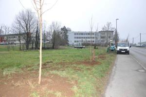 b_800_600_0_00_images_stories_Novice_2015_Podjetje_Avtotransporti_Kastelec_je_obcankam_in_obcanom_Grosuplja_podarilo_sadike_dreves_7