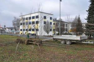 b_800_600_0_00_images_stories_Novice_2015_Podjetje_Avtotransporti_Kastelec_je_obcankam_in_obcanom_Grosuplja_podarilo_sadike_dreves_9a