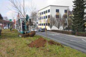 b_800_600_0_00_images_stories_Novice_2015_Podjetje_Avtotransporti_Kastelec_je_obcankam_in_obcanom_Grosuplja_podarilo_sadike_dreves_9f