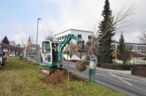 b_800_600_0_00_images_stories_Novice_2015_Podjetje_Avtotransporti_Kastelec_je_obcankam_in_obcanom_Grosuplja_podarilo_sadike_dreves_9g